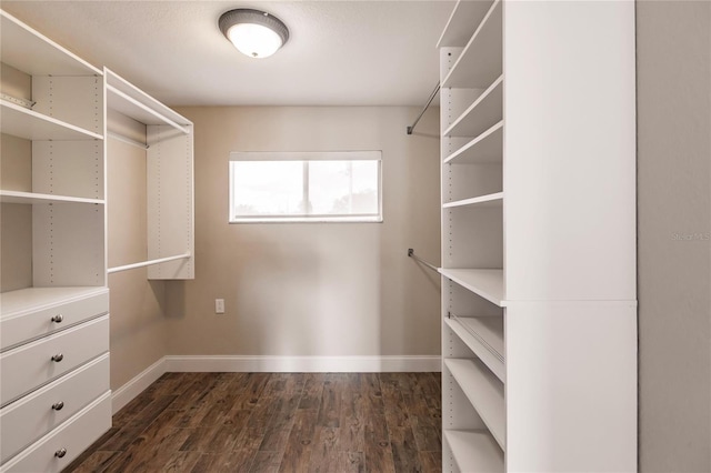 spacious closet featuring dark wood-type flooring