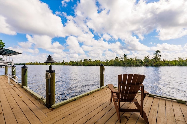 dock area with a water view