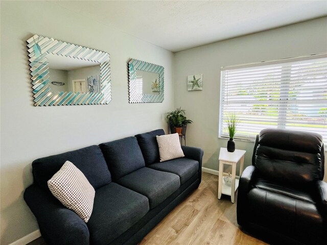 living room with light hardwood / wood-style floors