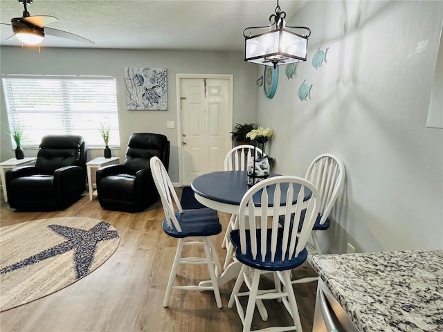 dining space with ceiling fan and light hardwood / wood-style floors