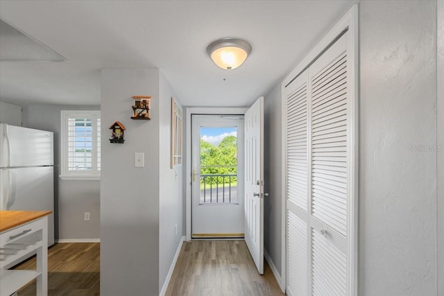 doorway featuring wood-type flooring