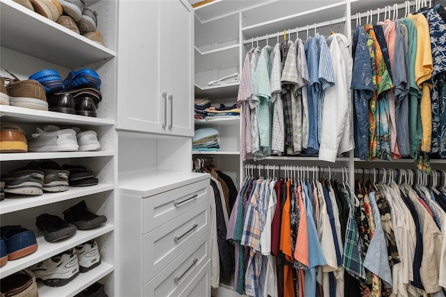 view of spacious closet