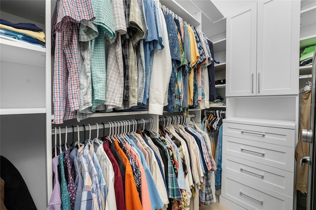 view of spacious closet