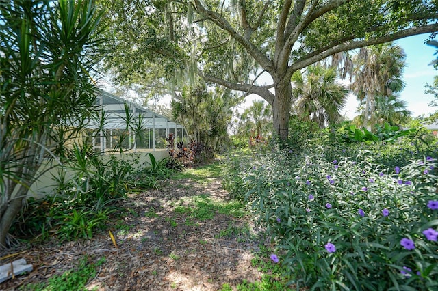 view of yard with a lanai