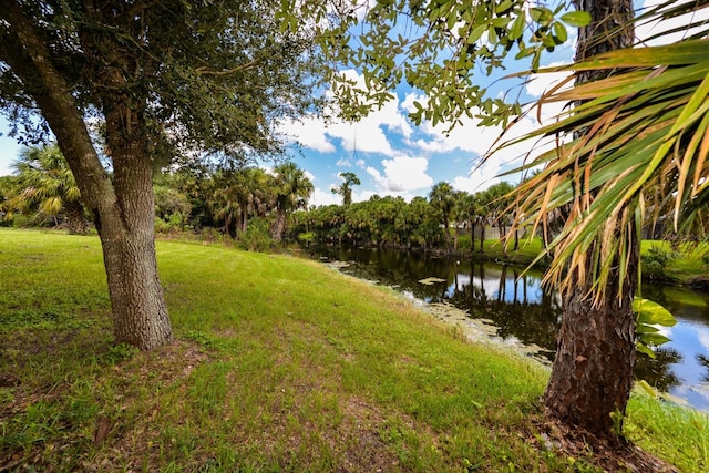 view of yard featuring a water view