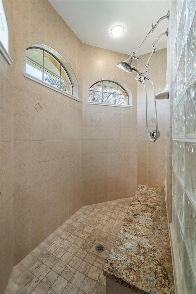 bathroom featuring a tile shower and a healthy amount of sunlight