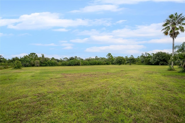 view of yard with a rural view