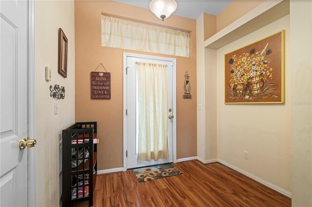 entrance foyer featuring dark hardwood / wood-style flooring