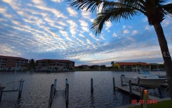 dock area with a water view