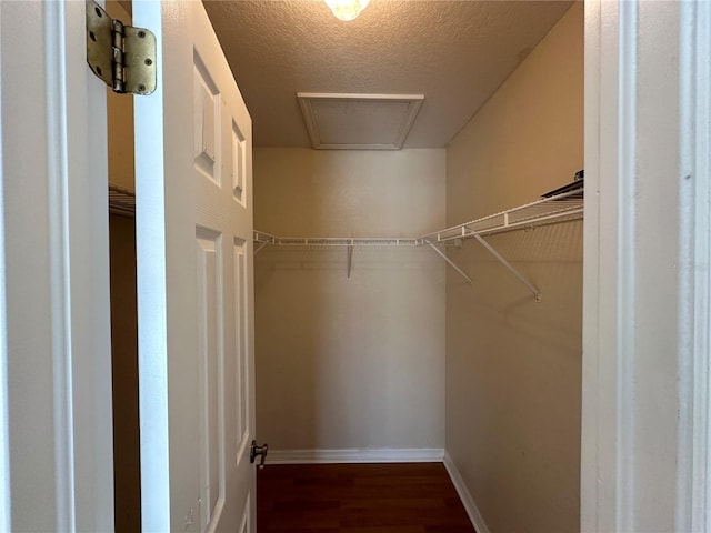 spacious closet featuring dark hardwood / wood-style flooring