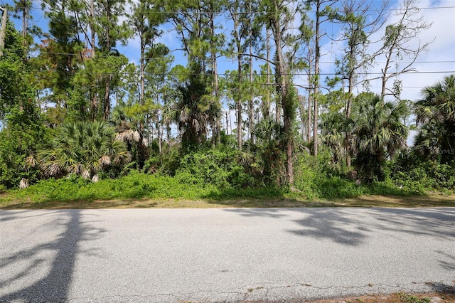 Listing photo 3 for LOT33 Overhead St, North Port FL 34288