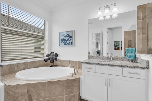 bathroom featuring vanity and a bath