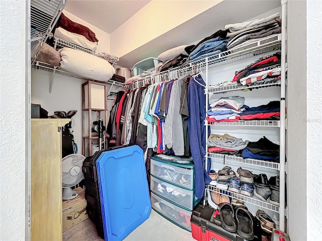 view of spacious closet