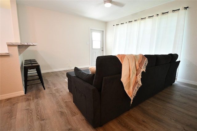 living room featuring ceiling fan and wood-type flooring