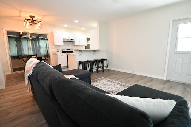 living room with wood-type flooring