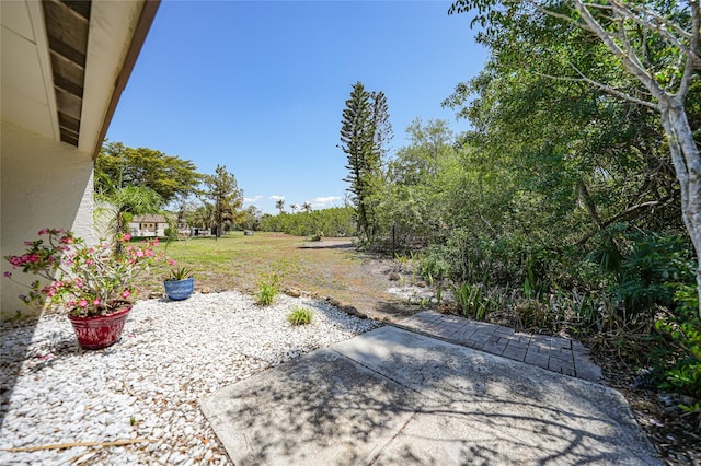 1001 W Marion Ave Unit 14, Punta Gorda, FL 33950 - view of yard with a patio area