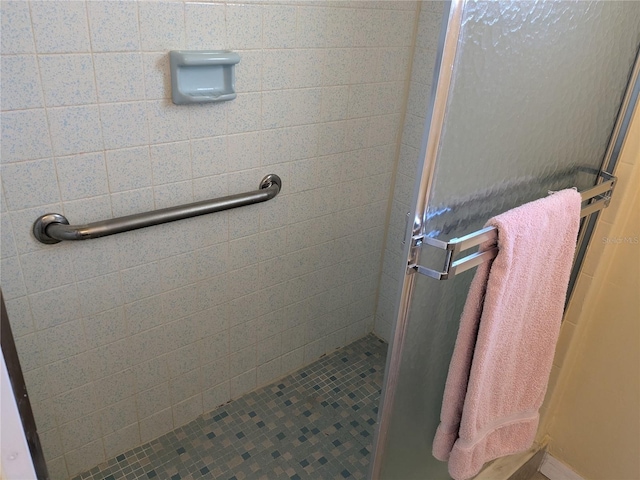 bathroom with a shower with shower door