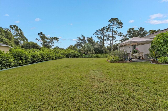 view of yard featuring a patio