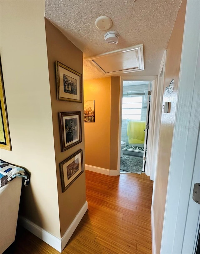 corridor featuring hardwood / wood-style floors and a textured ceiling