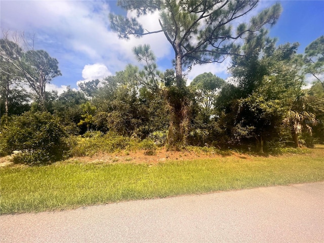 163 Kildare St, Port Charlotte FL, 33954 land for sale