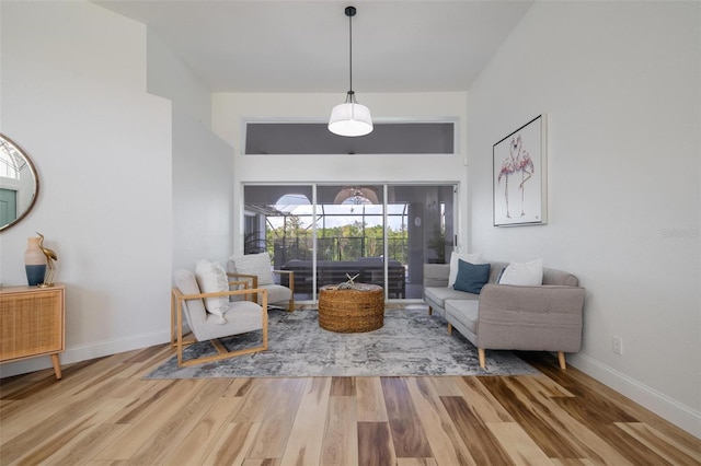 living room featuring hardwood / wood-style flooring