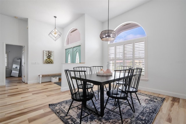 dining area with light hardwood / wood-style flooring