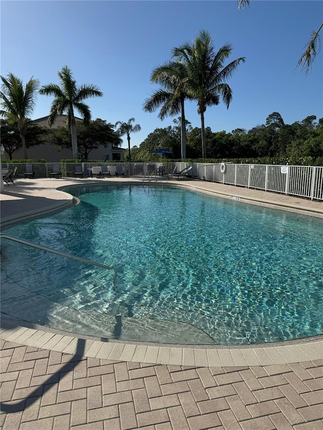 view of swimming pool