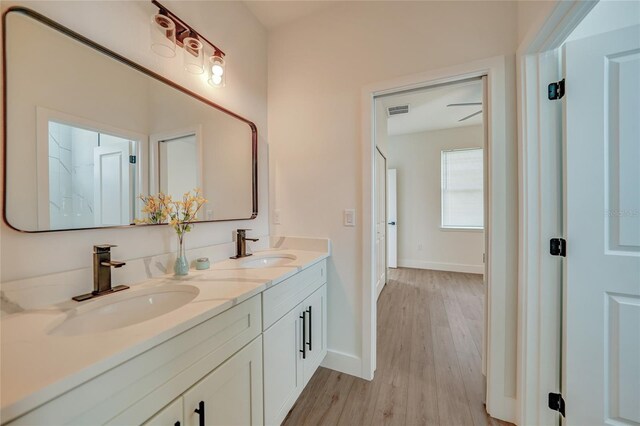 bathroom featuring wood-type flooring and vanity