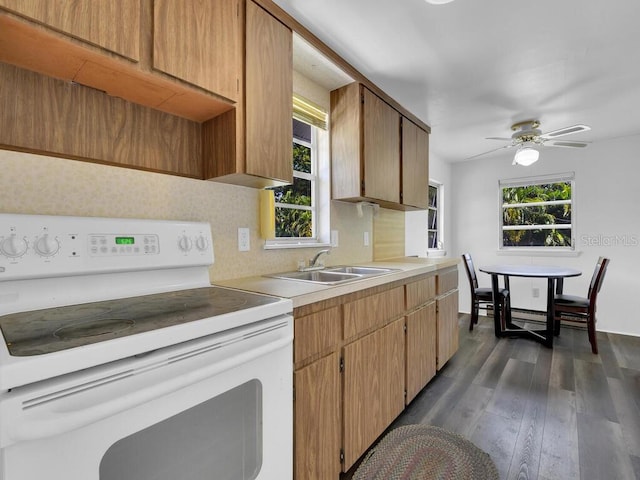 kitchen featuring dark wood-type flooring, a wealth of natural light, ceiling fan, and white electric range oven