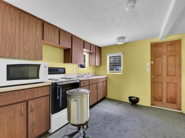 kitchen featuring sink, white appliances, and carpet floors