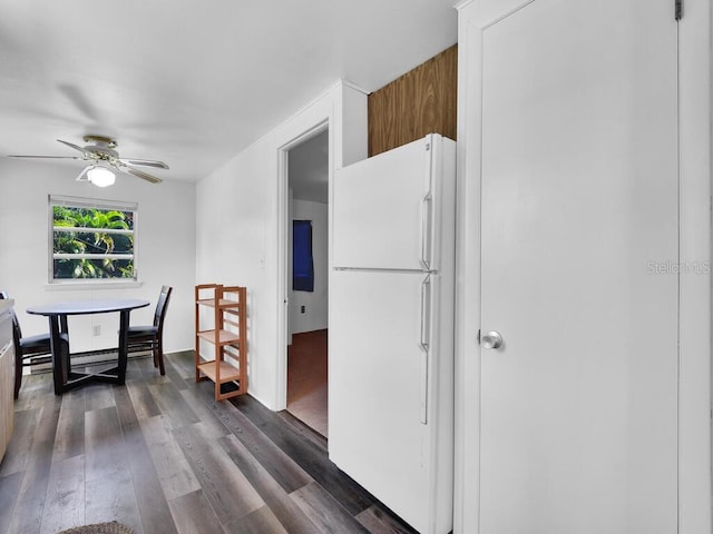 kitchen with ceiling fan, white refrigerator, and dark hardwood / wood-style flooring