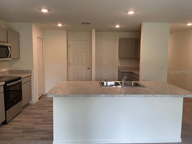 kitchen with stainless steel appliances, sink, and a center island with sink