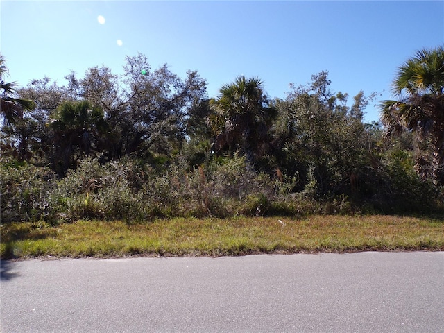 14315 Whitesides Ave Ave, Unit Ave, Port Charlotte FL, 33953 land for sale