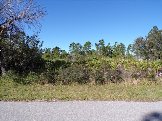 209 Hutchins St, Port Charlotte FL, 33953 land for sale