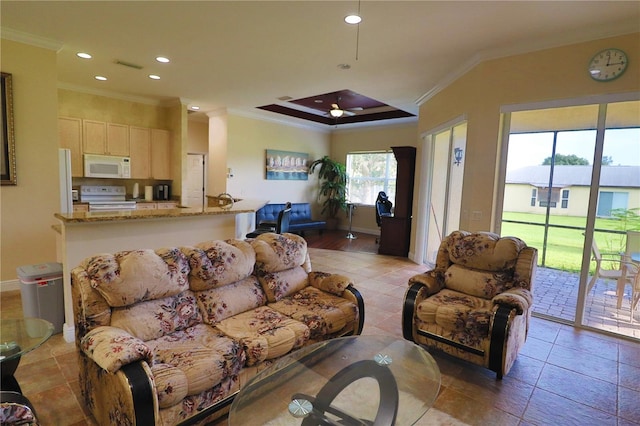 living room with wood-type flooring, a raised ceiling, and crown molding