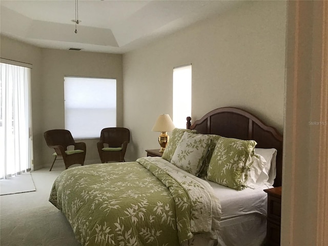 carpeted bedroom with multiple windows and a raised ceiling