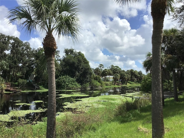 view of nature featuring a water view