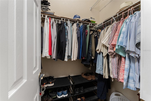 view of spacious closet