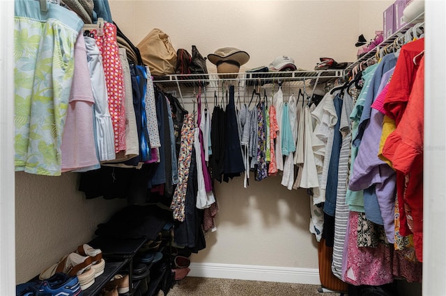 walk in closet featuring carpet flooring