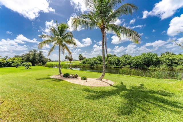 surrounding community with a water view and a lawn