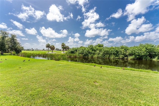 view of yard featuring a water view