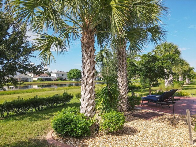 view of yard with a water view and a patio