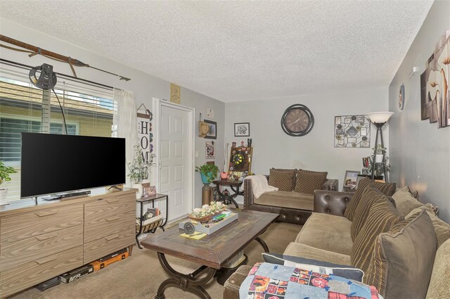 carpeted living room with a textured ceiling