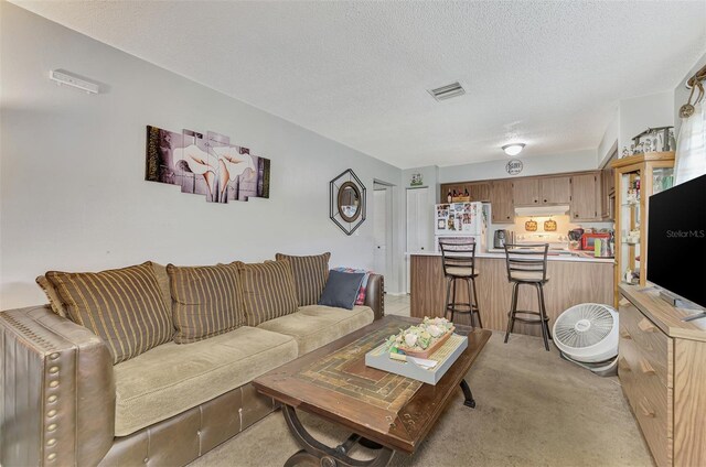 living room featuring a textured ceiling