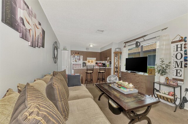 carpeted living room with a textured ceiling