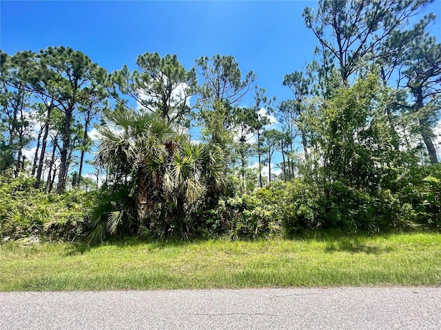 5126 Hopkins Ave, Port Charlotte FL, 33981 land for sale