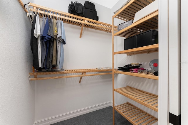 spacious closet with carpet