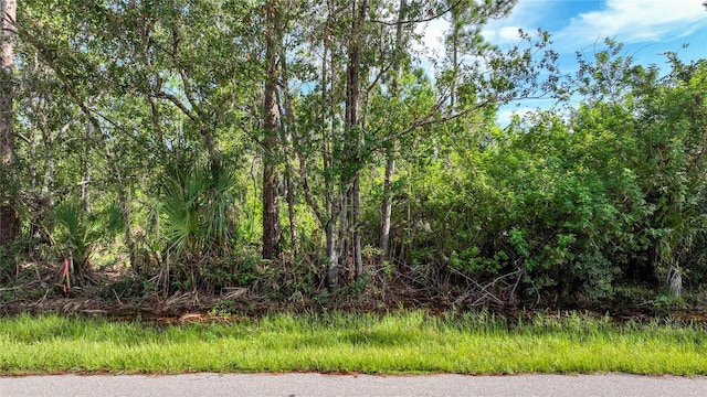 22452 Donalda Ave, Port Charlotte FL, 33954 land for sale