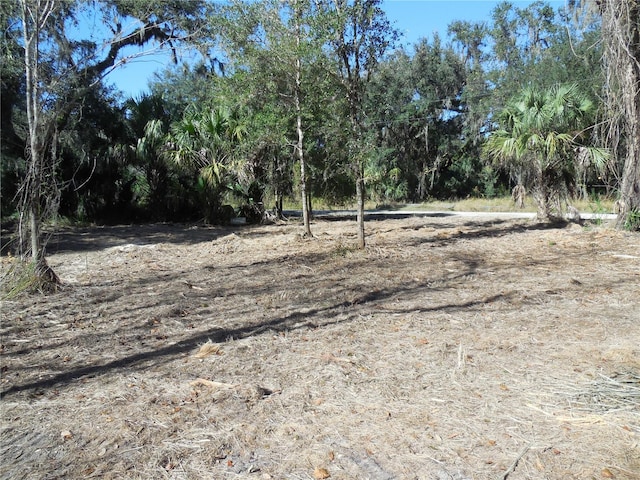 Listing photo 3 for 152 Tall Oak Trl, Zolfo Springs FL 33890