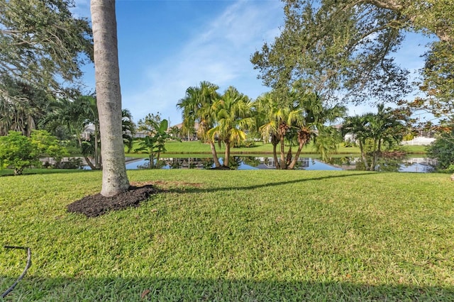 view of yard featuring a water view